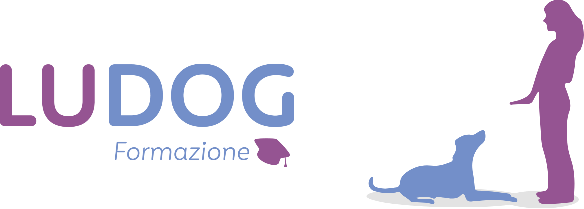 Ludog corsi di formazione